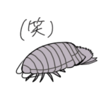 個性豊かな深海魚たち