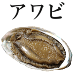 アワビ。