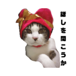 うちの子 あわび