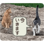 あわびくんスタンプ②