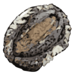  やさしい あわび 2