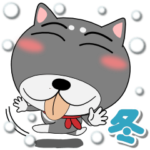 黒柴（くろしば）　冬　ポップでカラフル