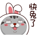 VITA VITA The Year of Rabbit