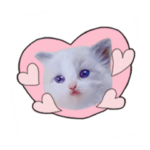 何となく使える猫スタンプ