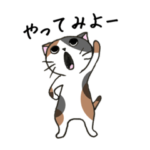 わりと前向きねこスタンプ