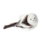 リアルイラスト 実写風 ふわもふシマエナガ