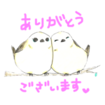 シマエナガちゃん〜日常あいさつ編。敬語〜