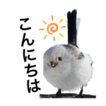 可愛い妖精のシマエナガ