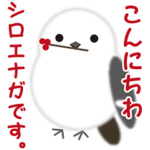 動く雪の妖精！可愛らしい野鳥シマエナガ