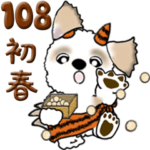 シーズー犬 108『初春』