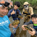 生態系を守るスタンプ