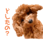 高見家のごじら