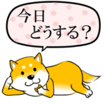 激しく尻尾をふる柴犬 