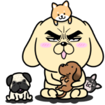 目ヂカラ☆わんこ7