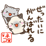 ５匹のちび猫のポエム