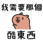 Baby Capybara Play together