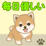よちよち豆柴　毎日優しいスタンプ