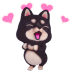 豆柴といっしょ②