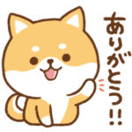 気持ち伝えるよ♥かまってチビ柴その12