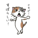 わりと前向きねこスタンプ2