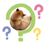 ばたお家のらんちゃん