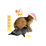 bts102600_20211005153820