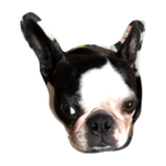 ボステリザウルス