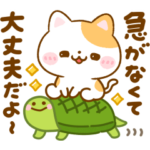 大人の思いやり♡ねこねこにゃんこ