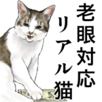 老眼対応！使えるシンプルリアル猫スタンプ