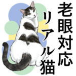 老眼対応！使えるカラフルリアル猫スタンプ
