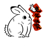 2023 Year of the Rabbit by LUNAROO