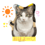 えりちゃんスタンプ、お試し