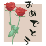 ❤️おめでとうの宝箱❤️BIGサイズ