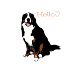 らふちゃんスタンプ☺︎英語