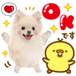 大人かわいい♡ポメ＆ぴよ♡ずっと使える