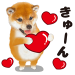 ♡ずっと使える　シバ犬