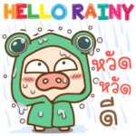 Piggo Hello Rain Season