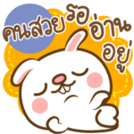 Beauty Person is overbite Rabbit