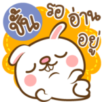 I am overbite Rabbit No.13