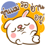 Mother is overbite Rabbit No.3