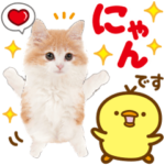 かわいい猫♡大人可愛い♡ずっと使える