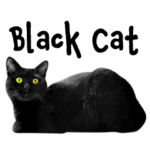 KURONEKO GA IPPAI 英語ver