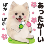 ♡ずっと使えるポメ