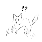 ときどきへんなしろねこさん