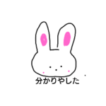 うさぎちゃん2023年