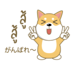 柴犬（タイ語通訳）