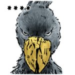 ハシビロコウ先輩