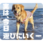 びすけ物語／mimi28