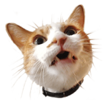 ヒグチユウコ 猫のボリス・スタンプ その3