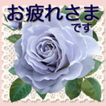 元気な薔薇のメッセージ